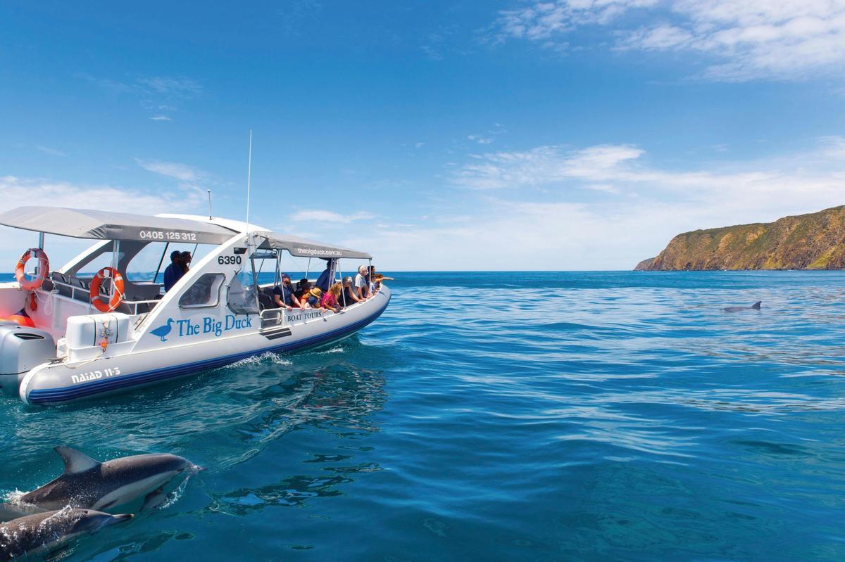 Victor Harbor, Southern Highlights and Big Duck Cruise