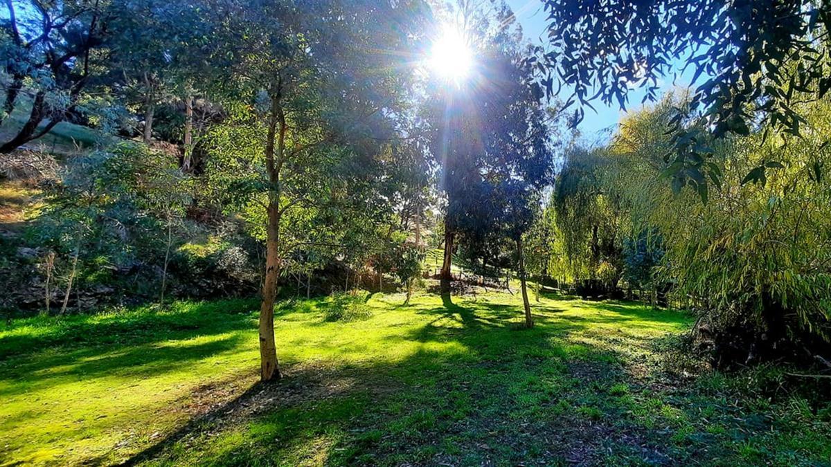 Camp Toondilla (Clarendon SA)
