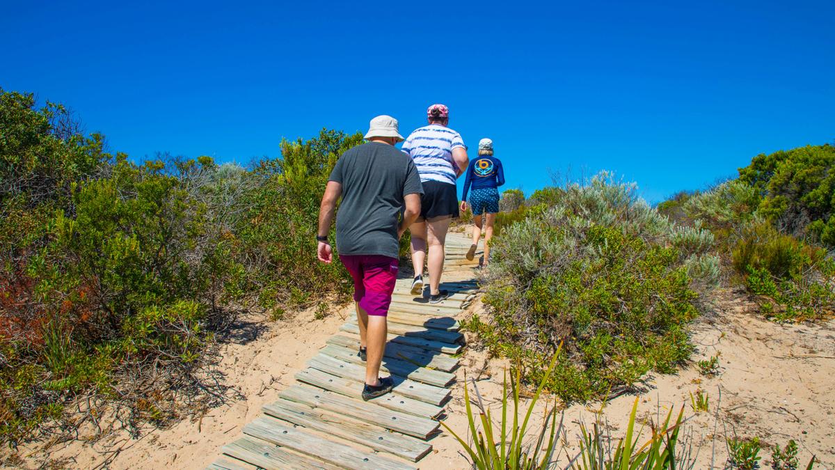 Dune walk on board walk