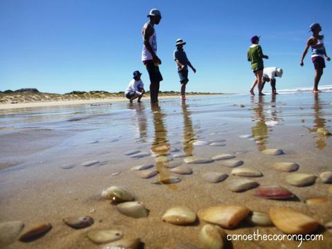 Canoe the Coorong - Full Day Coorong Tour