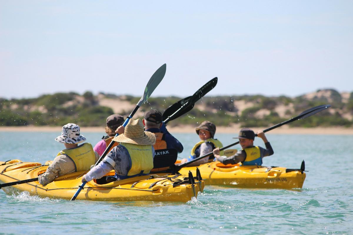 Kayaking for all ages, close to Adelaide South Australia