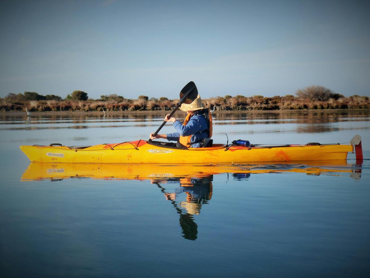 Self guided kayak hire