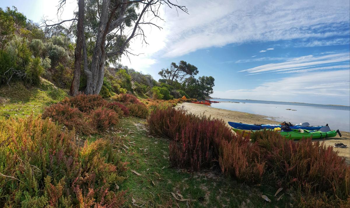 Canoe the Coorong - Overnight Camping Tour