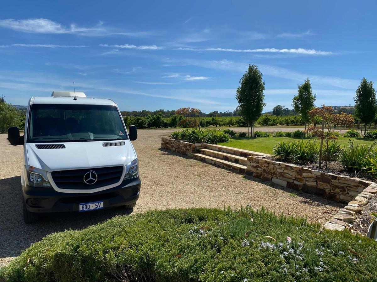 McLaren Vale scenery