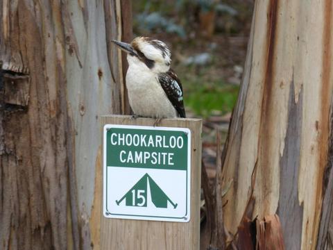 Chookarloo Campground