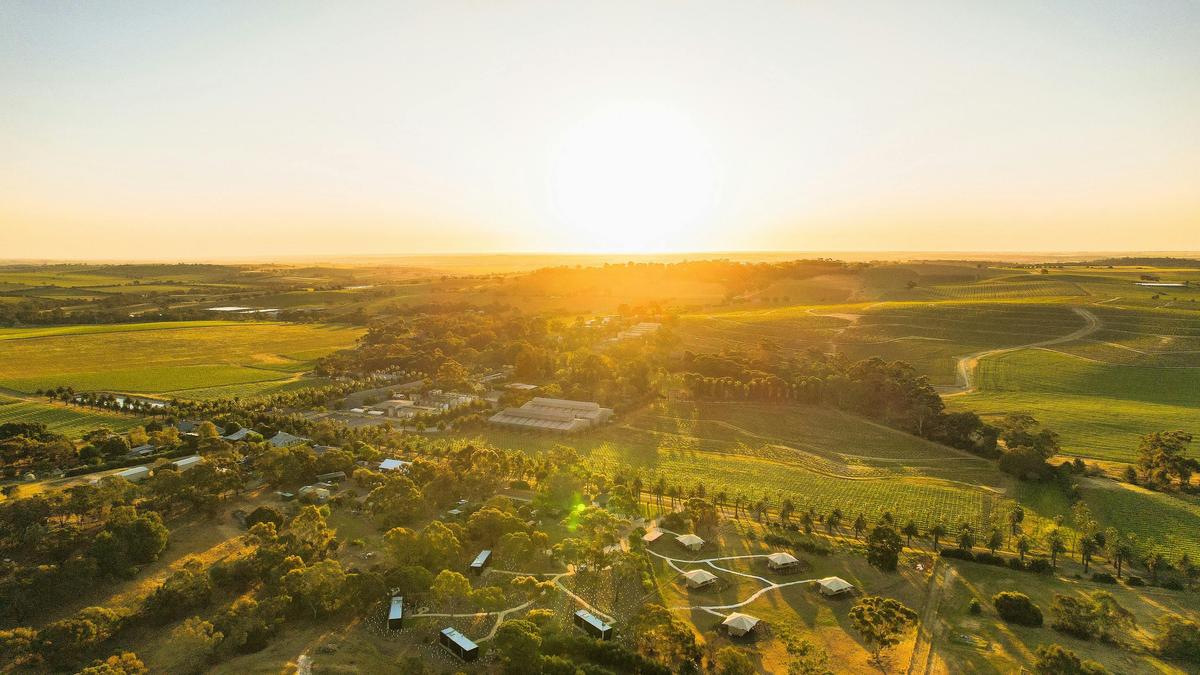 Aerial view CABN X Seppeltsfield, Barossa