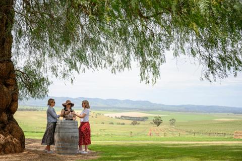 Barossa Food and Wine Experience - Small Group Touring