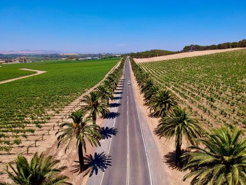 Barossa Valley : Private or Small Group Tour