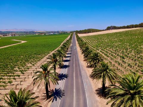 Cellar Door Tours Pty Ltd | Barossa Valley