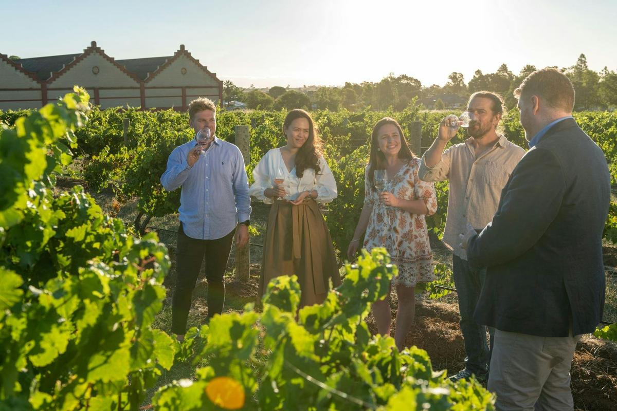 Chateau Tanunda Beyond the Velvet Rope