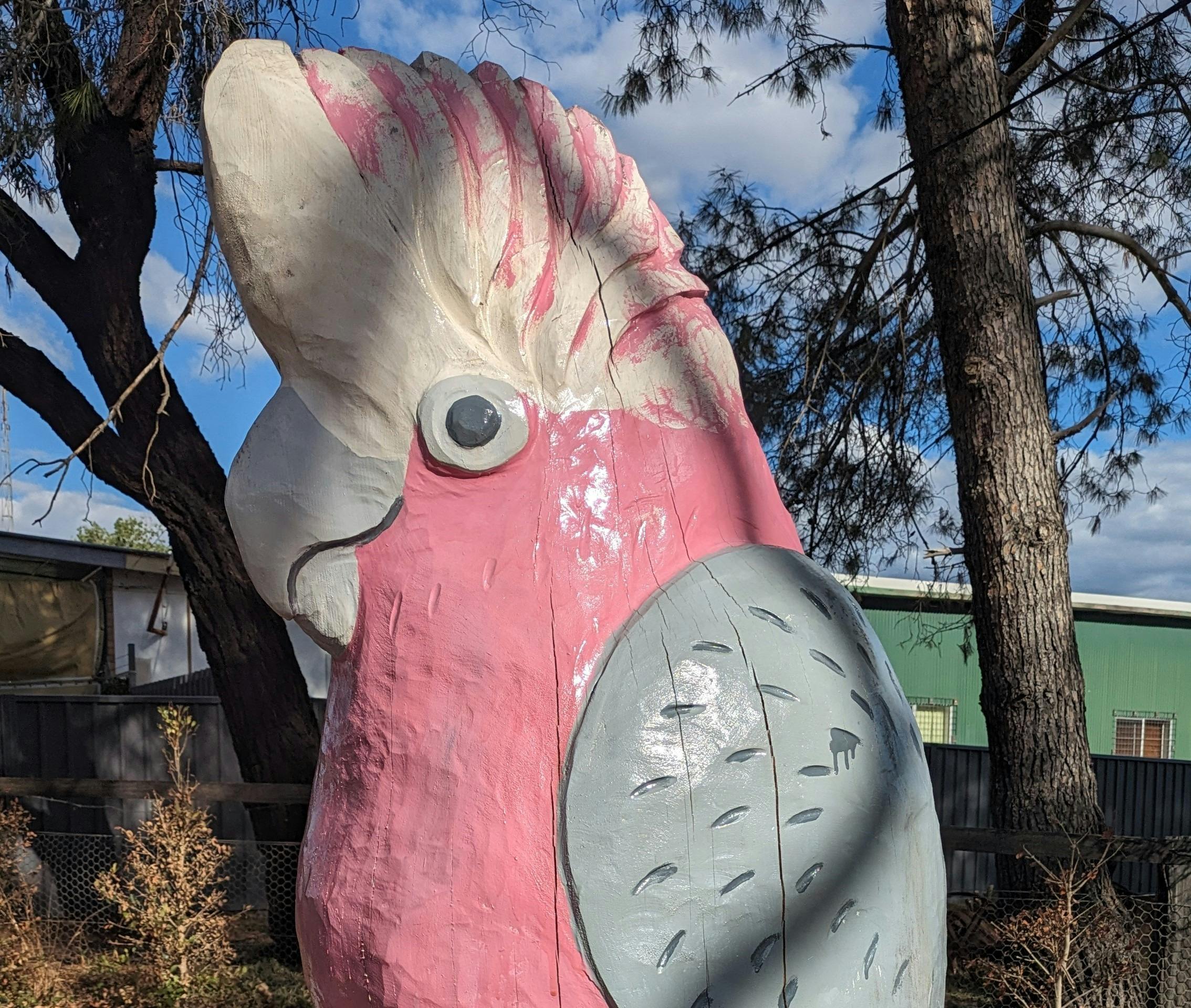 The Galah at Sandy Hollow by Mark Ray