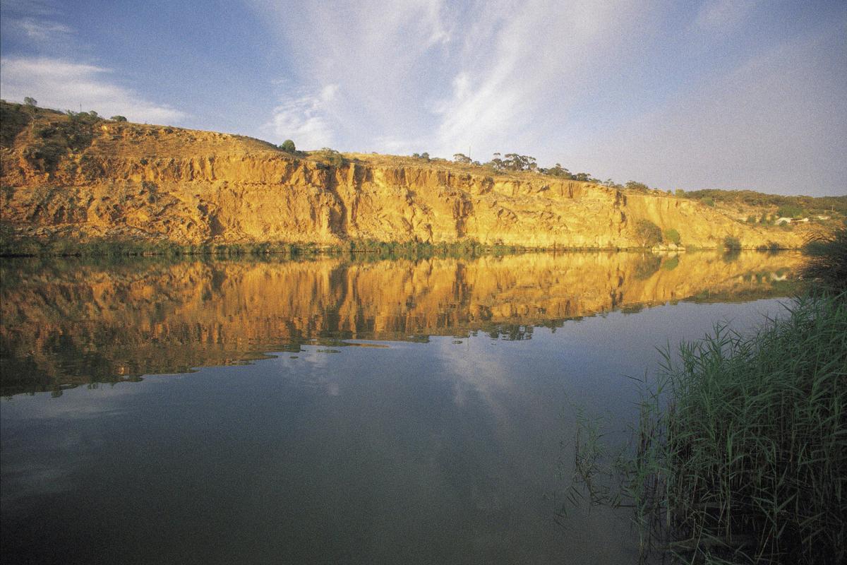 Murray River Highlights Tour