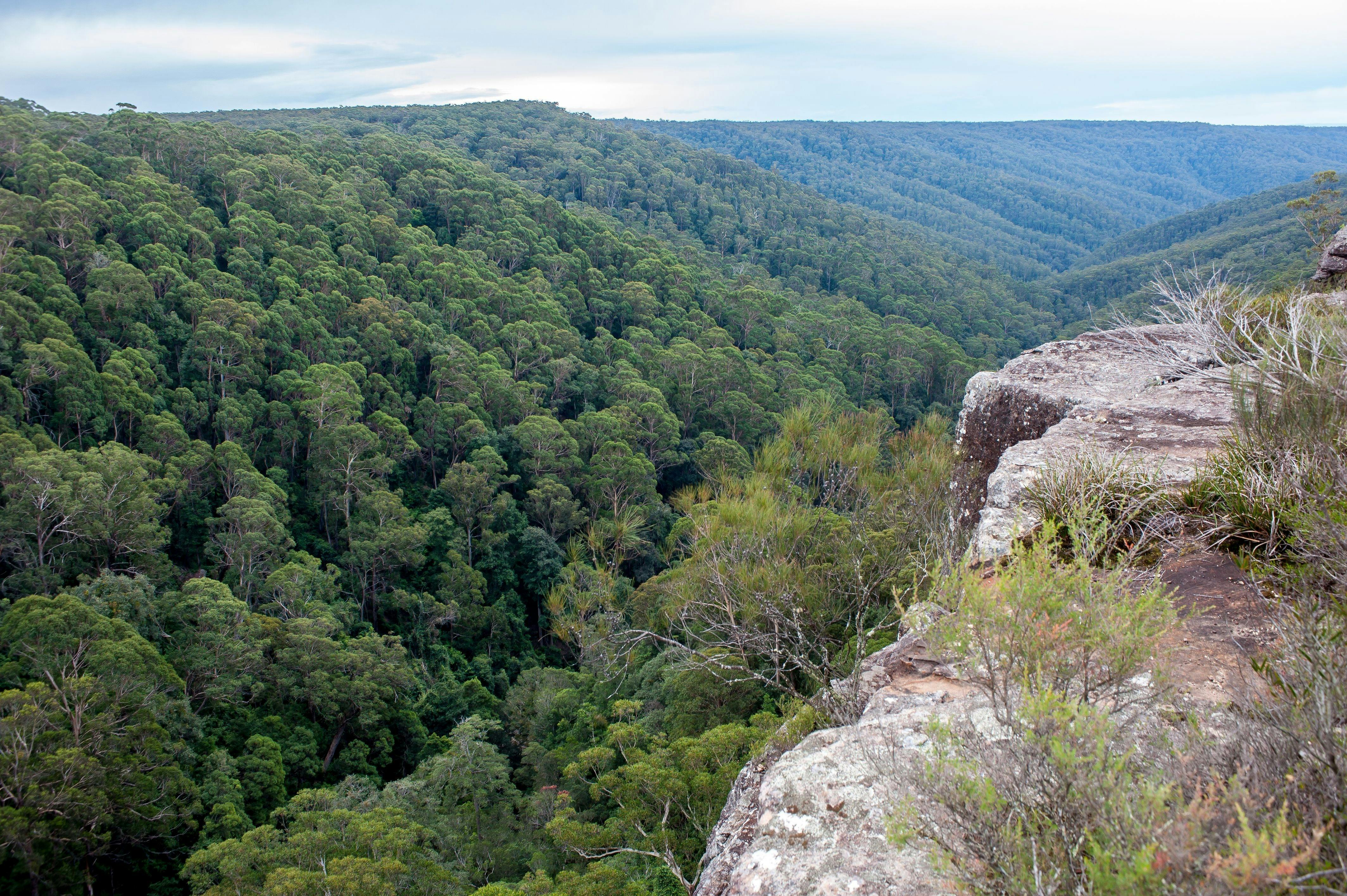 Tianjara Falls Lookout, Morton National Park