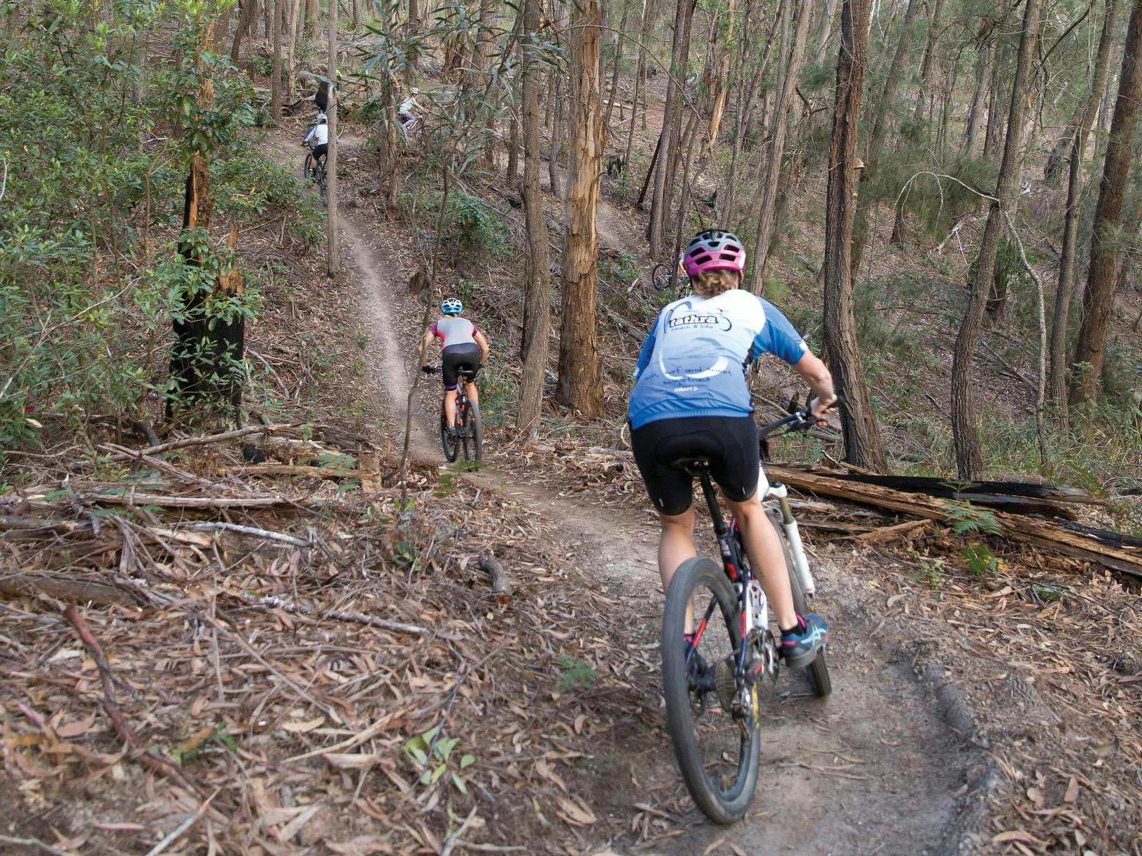 Bundadung Trail Network in Tathra