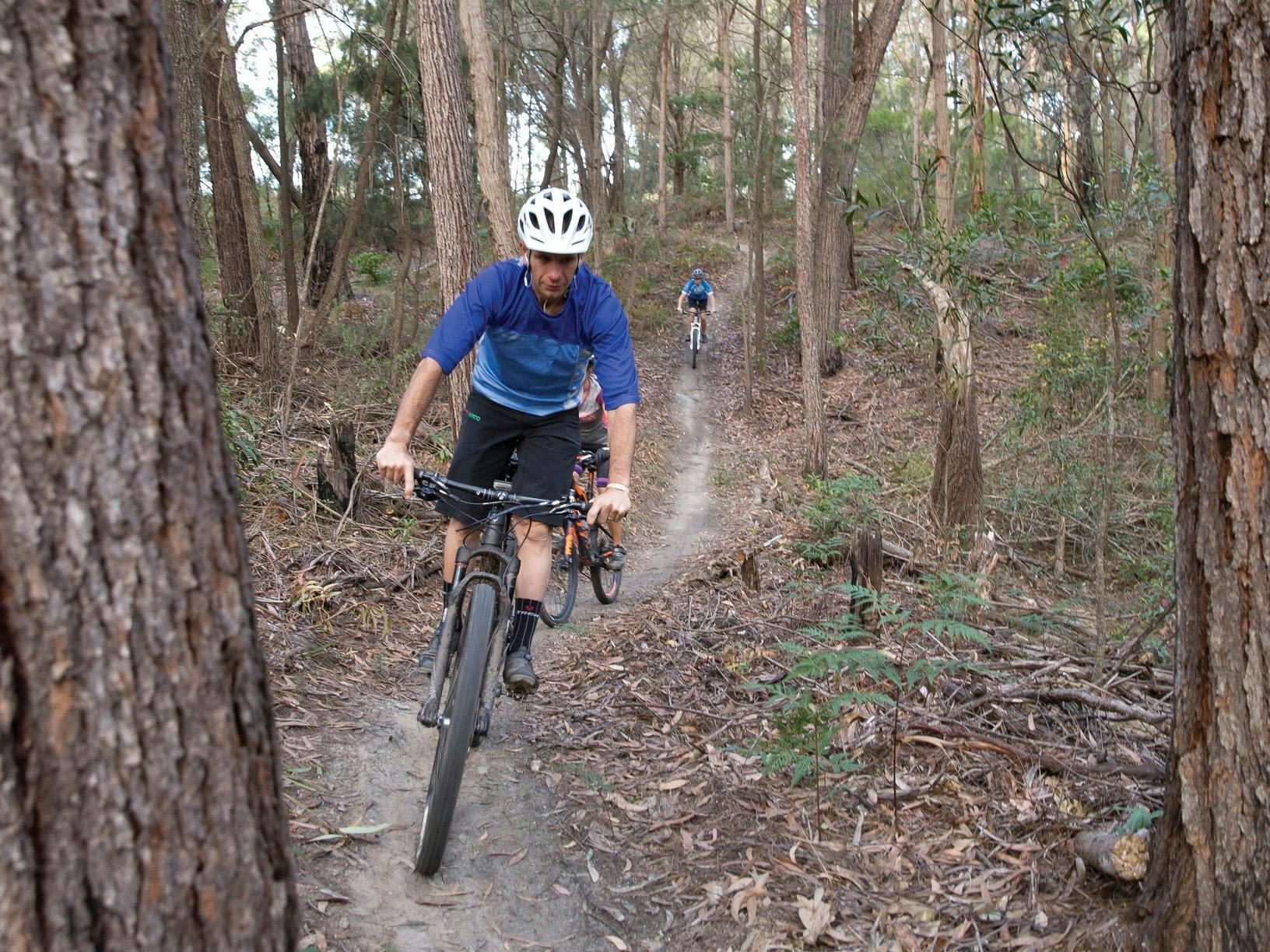 Bundadung Trail Network in Tathra