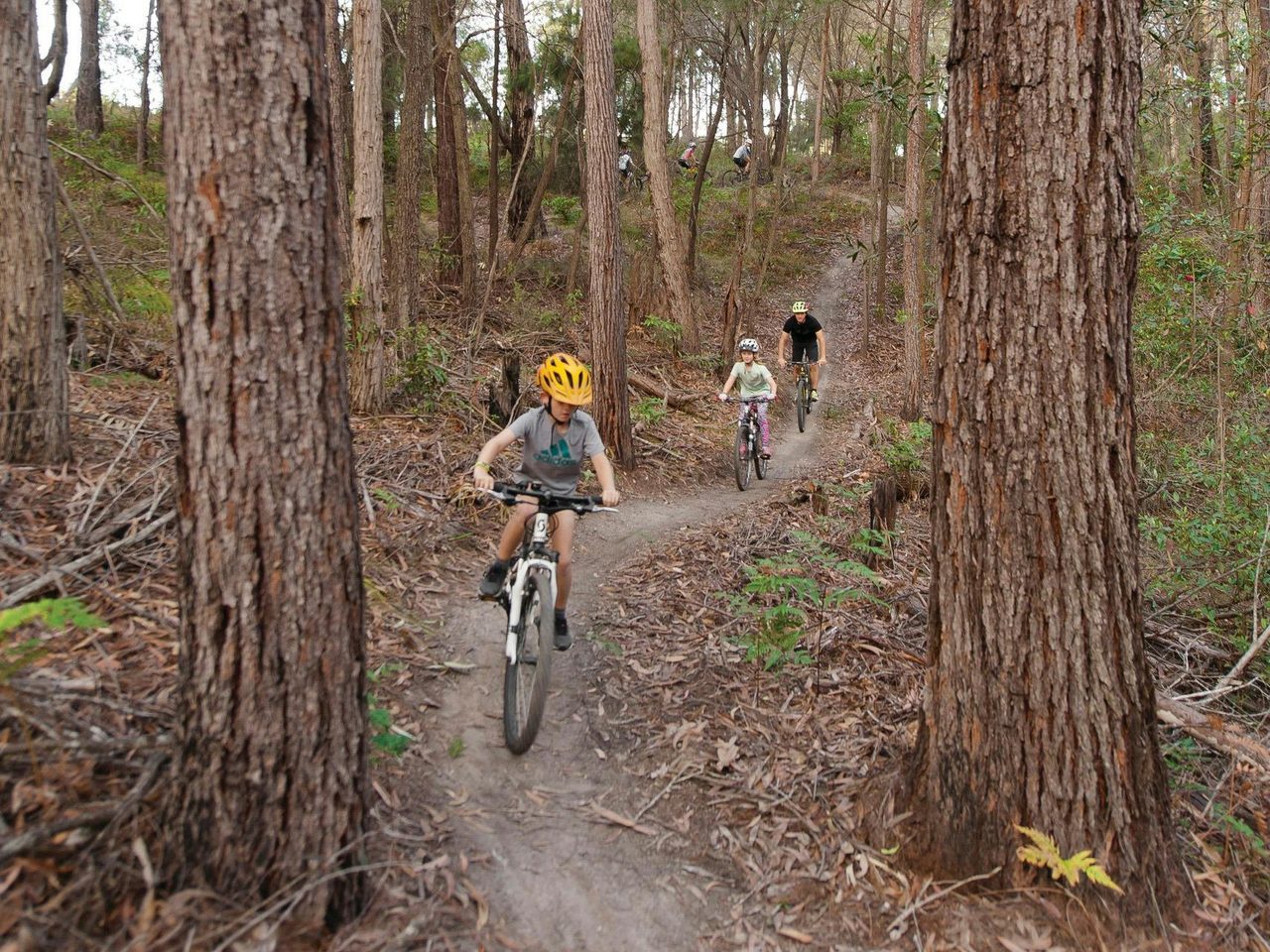 Bundadung Trail Network in Tathra.