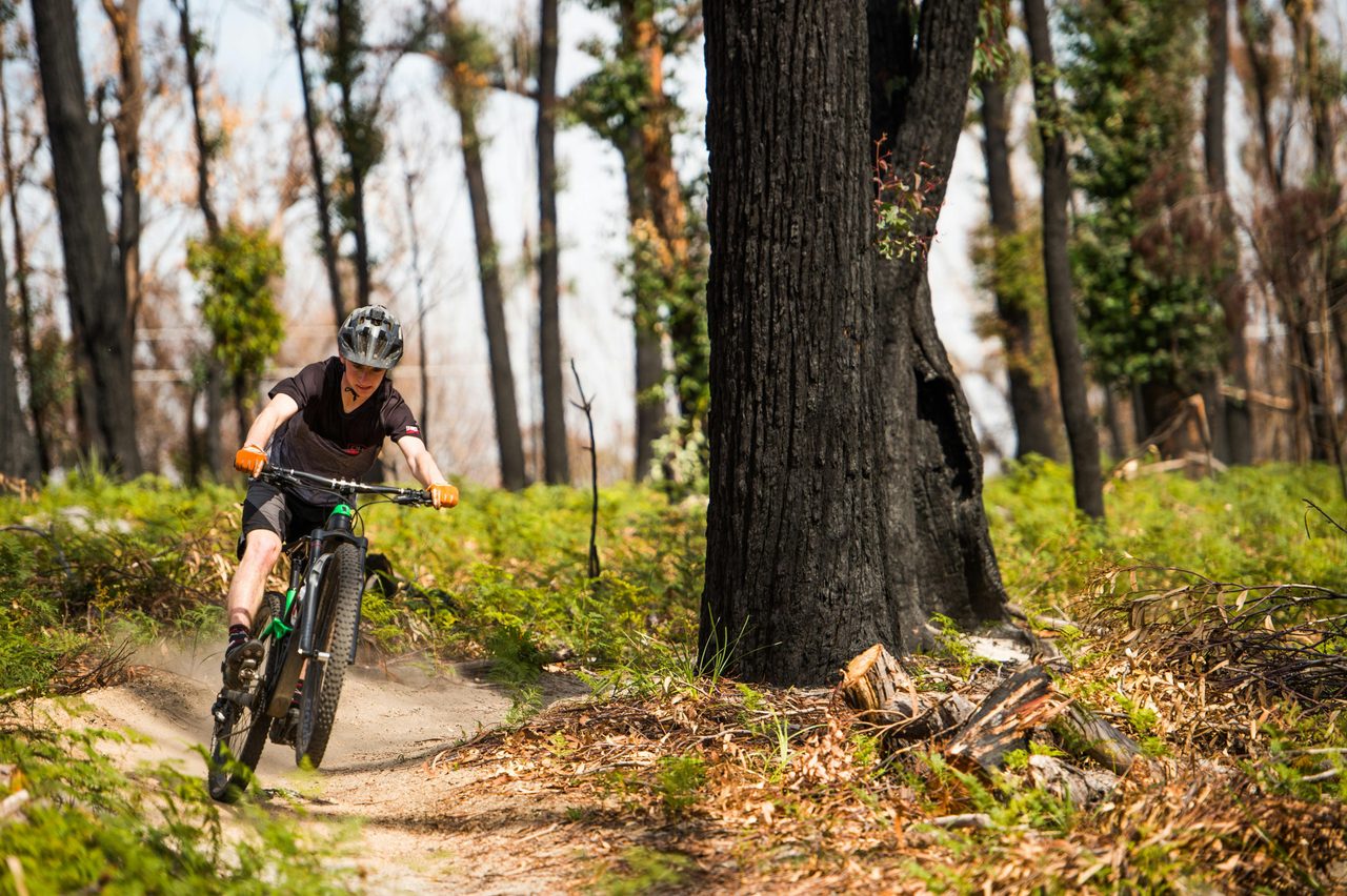 Tathra mountain bike trails