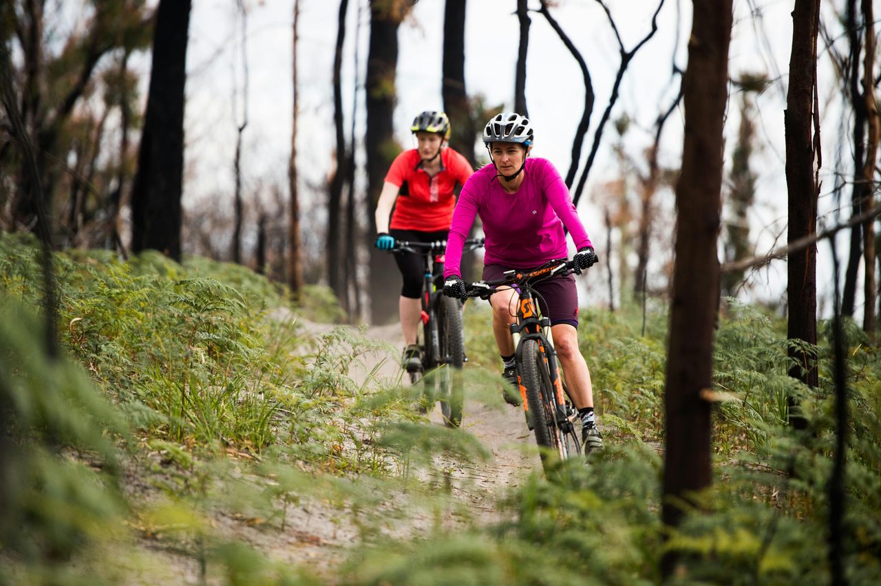 Tathra mountain bike trails