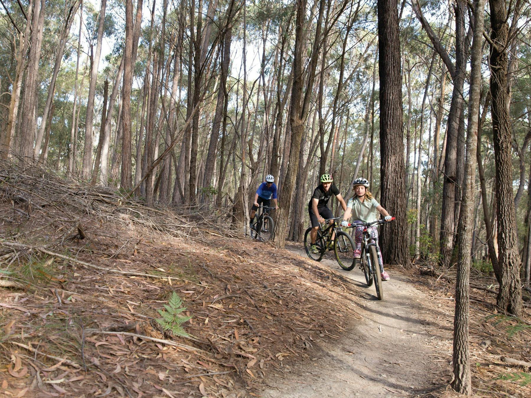 Bundadung Trail Network in Tathra