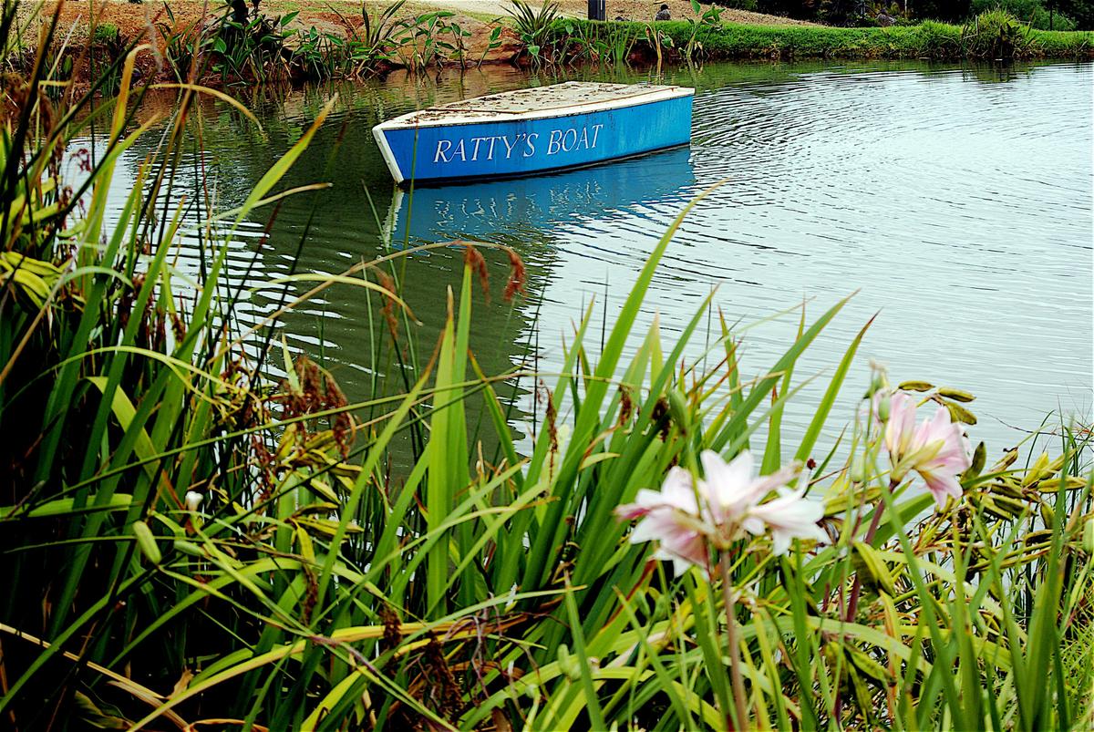 Ratty's Boat