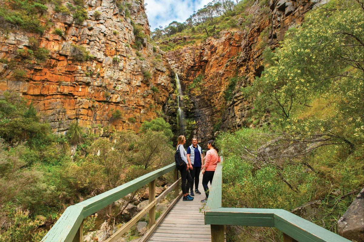 morialta fals