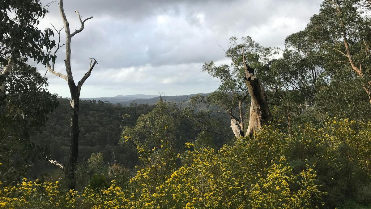 View from the trails accessible from property.