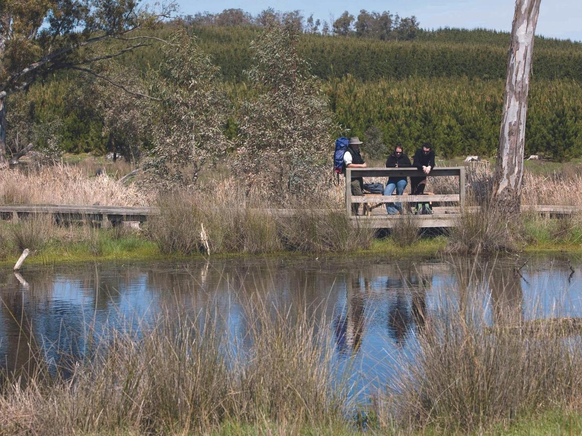 Chalks Campground