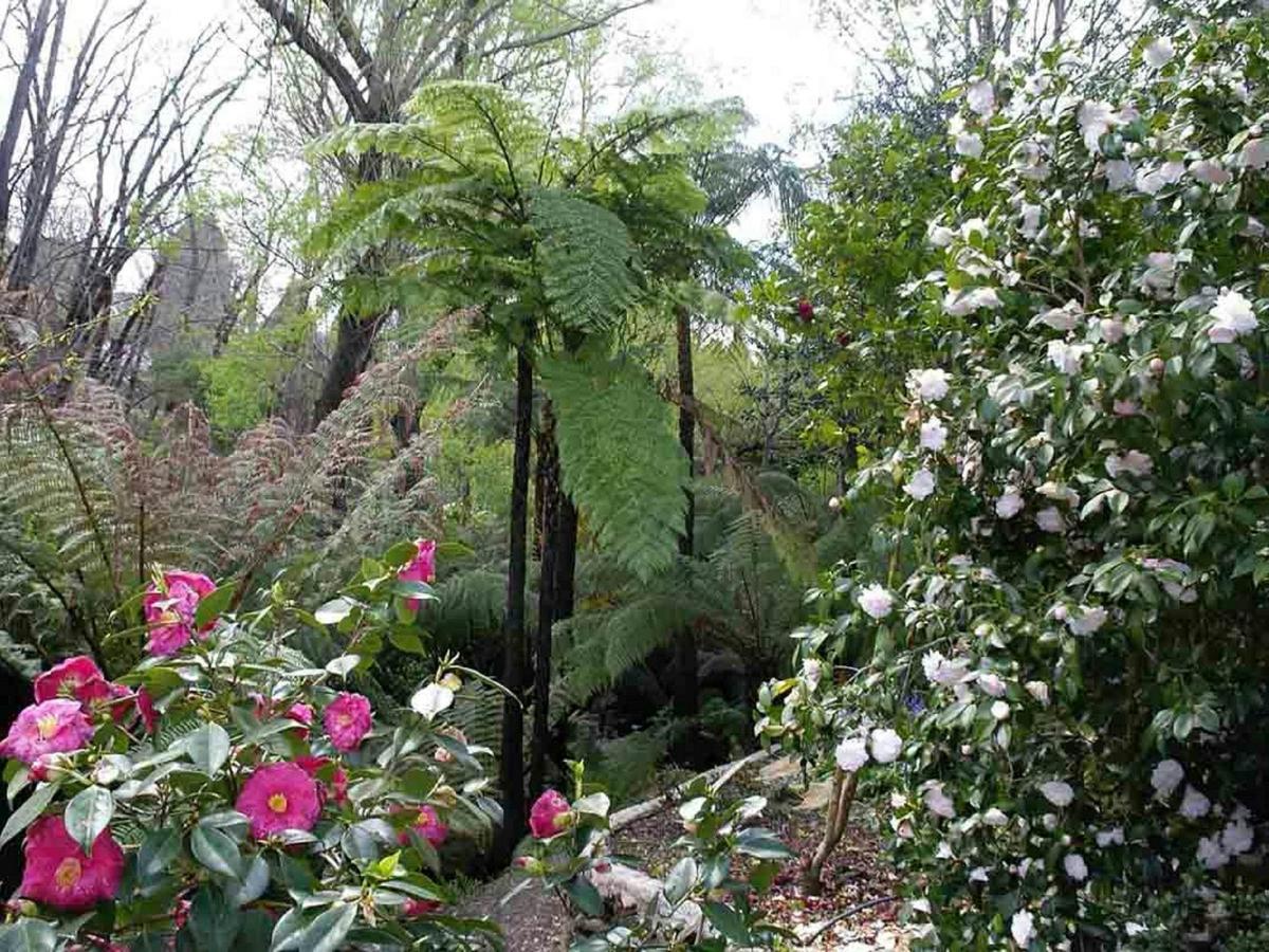 A walk through the garden