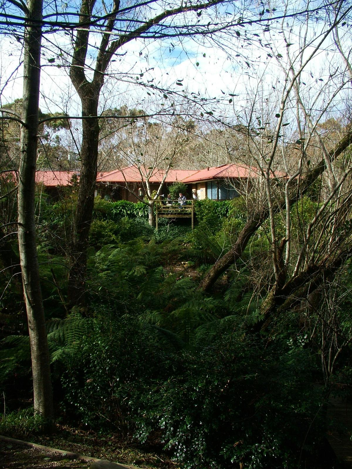 View over the garden