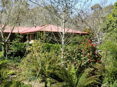 Garden suite
