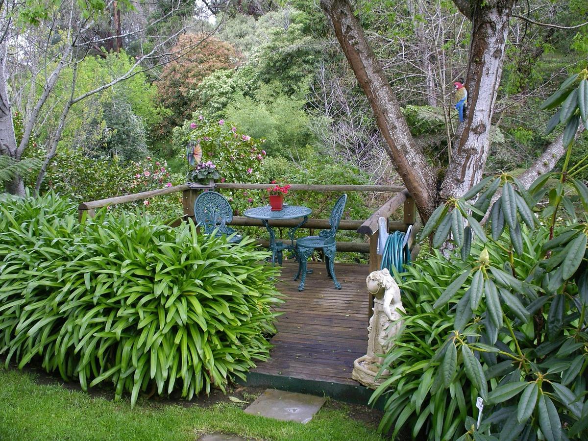 Balcony over looking rainforrest garden
