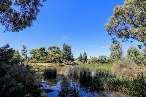 Oaklands Wetland Tour