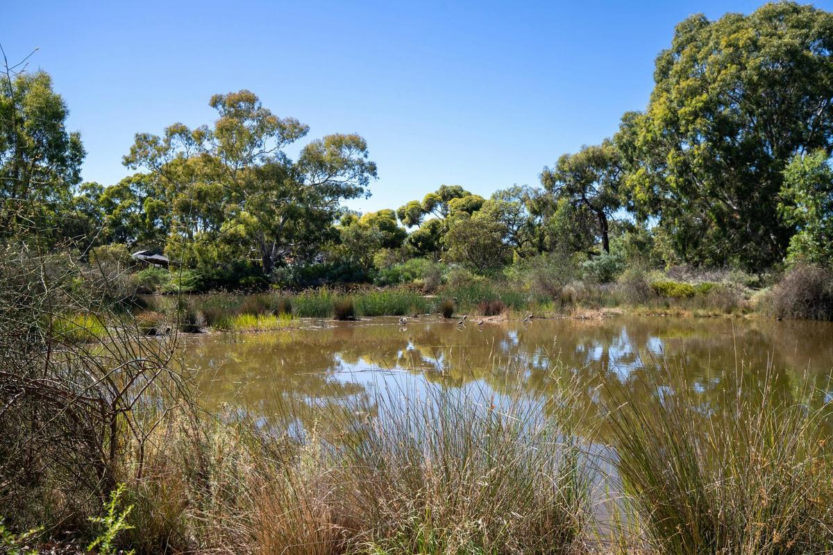 Oaklands Wetland Tour