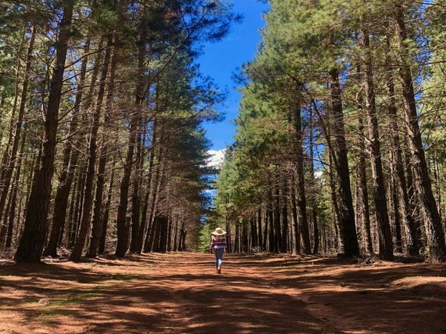 Sunny Corner Recreation Reserve