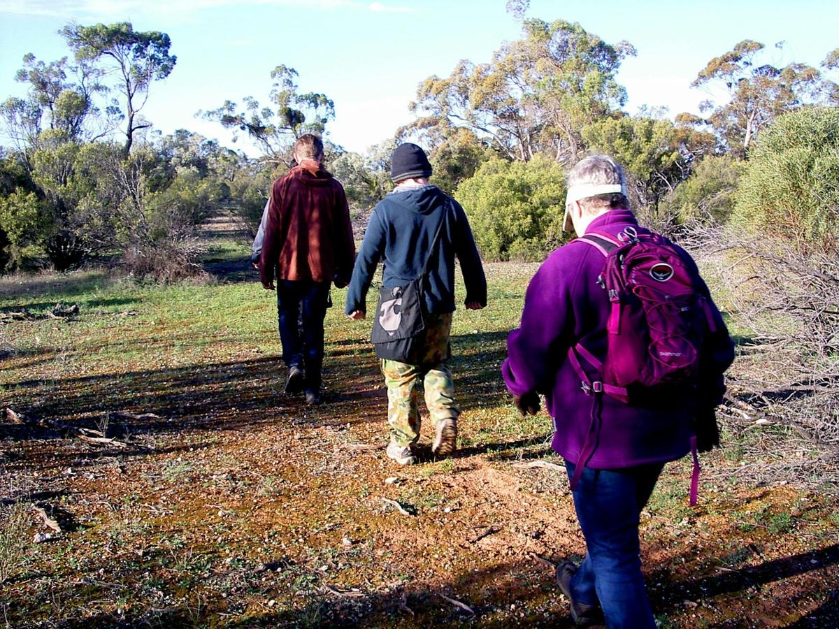 2 Day / 1 Night Wombat Tracking Tour