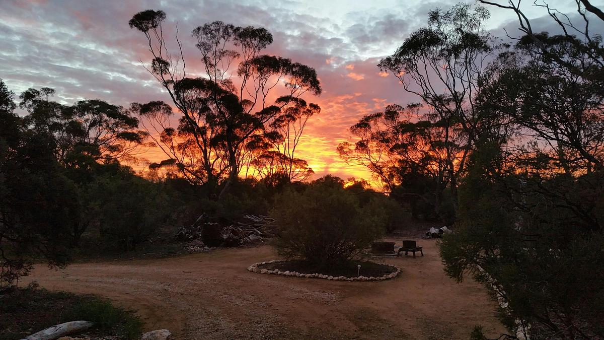 2 Day / 1 Night Wombat Tracking Tour