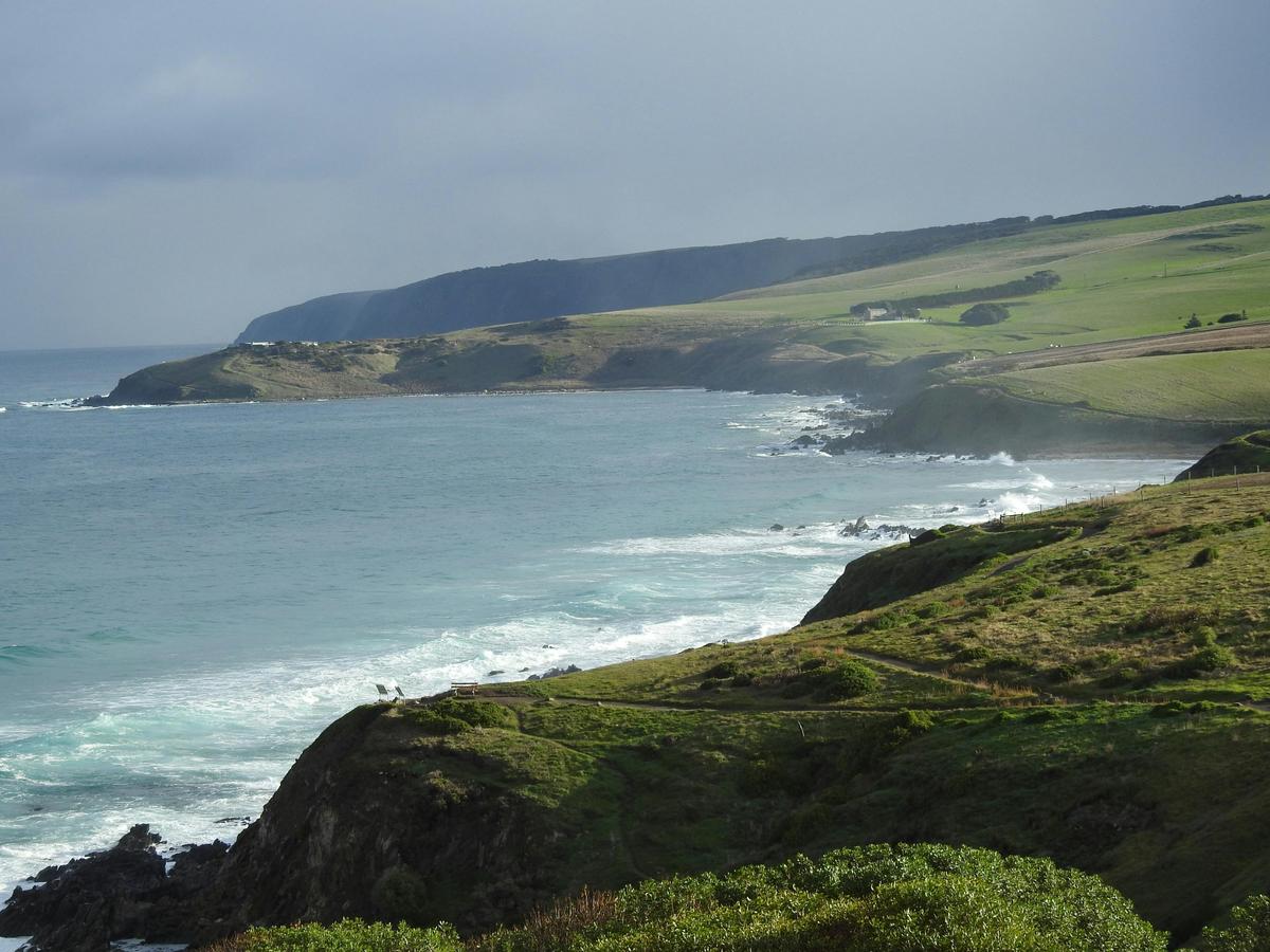 Hills to Sea Full Day Private Tour including Victor Harbor