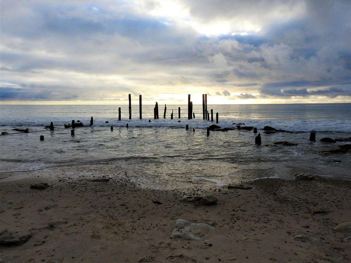 Hills to Sea Full Day Private Tour including Victor Harbor