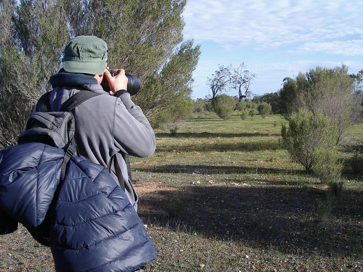 2 Day / 1 Night Wombat Tracking Tour