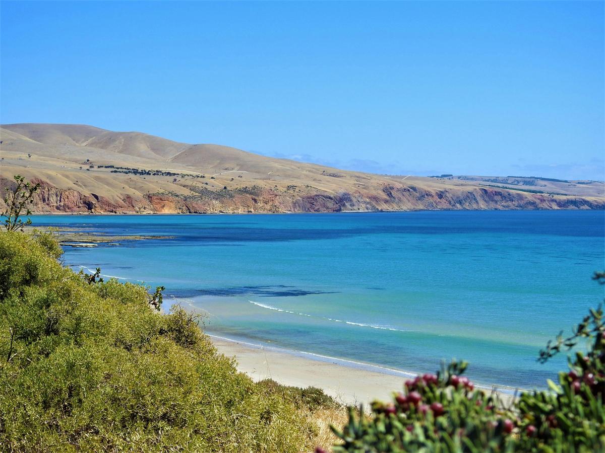 Hills to Sea Full Day Private Tour including Victor Harbor