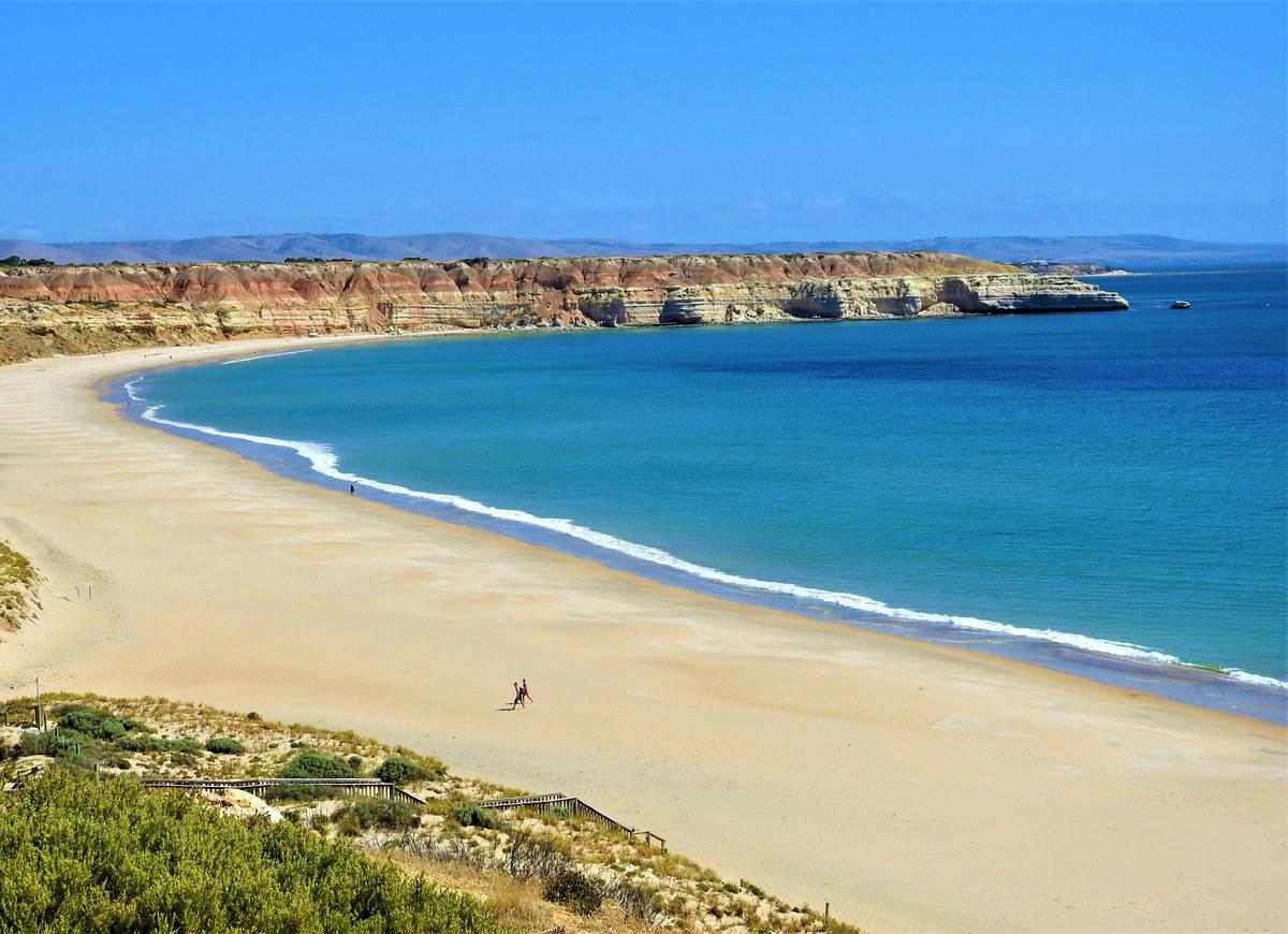 McLaren Vale & Beaches Tour