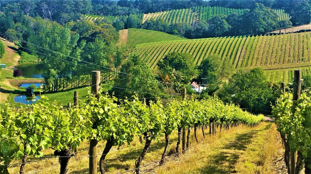 Adelaide Hills Private Day Tour