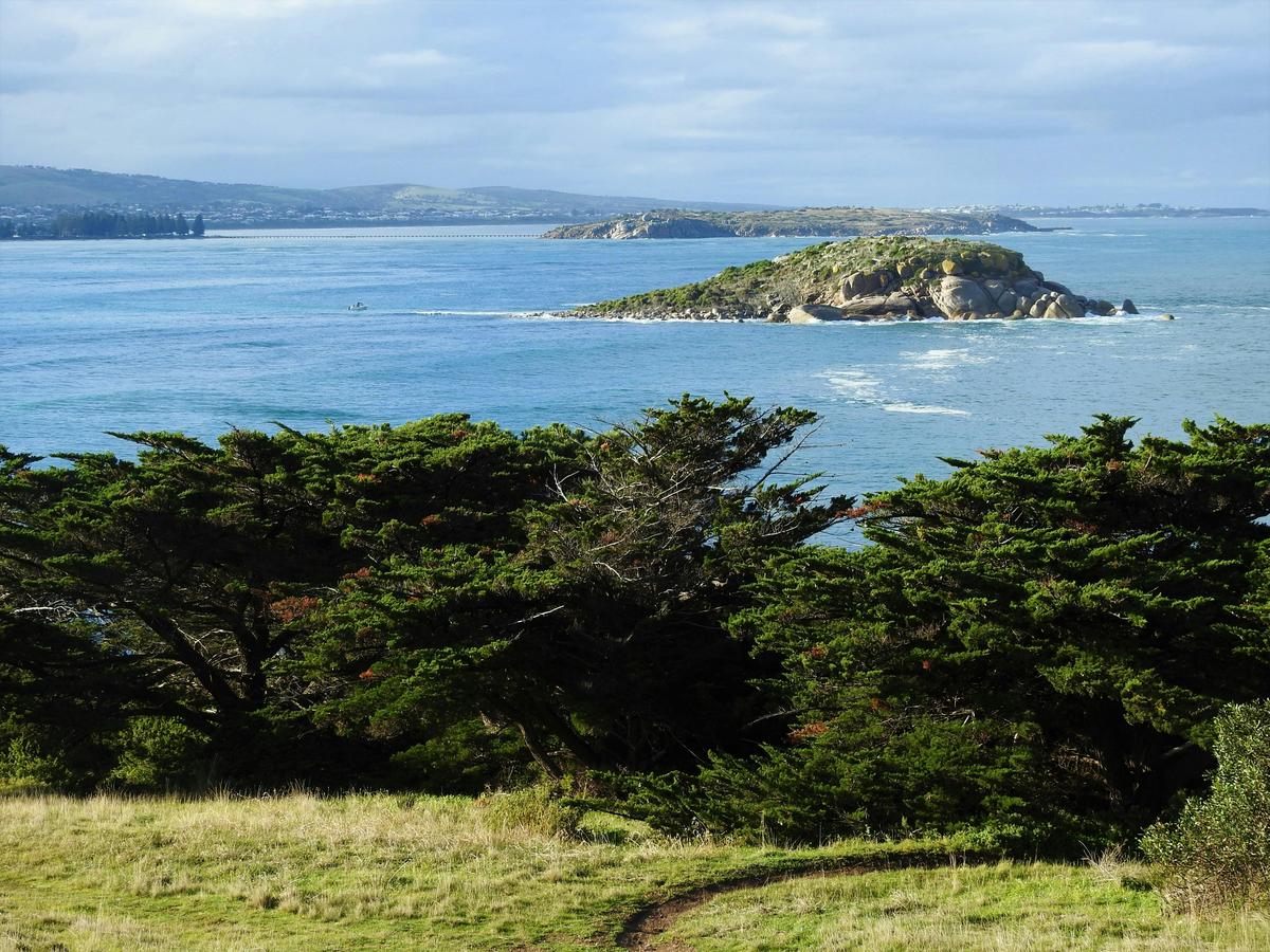 Hills to Sea Full Day Private Tour including Victor Harbor