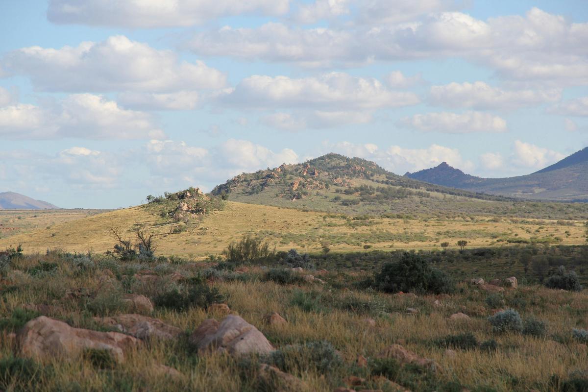 Looking to Camels Hump