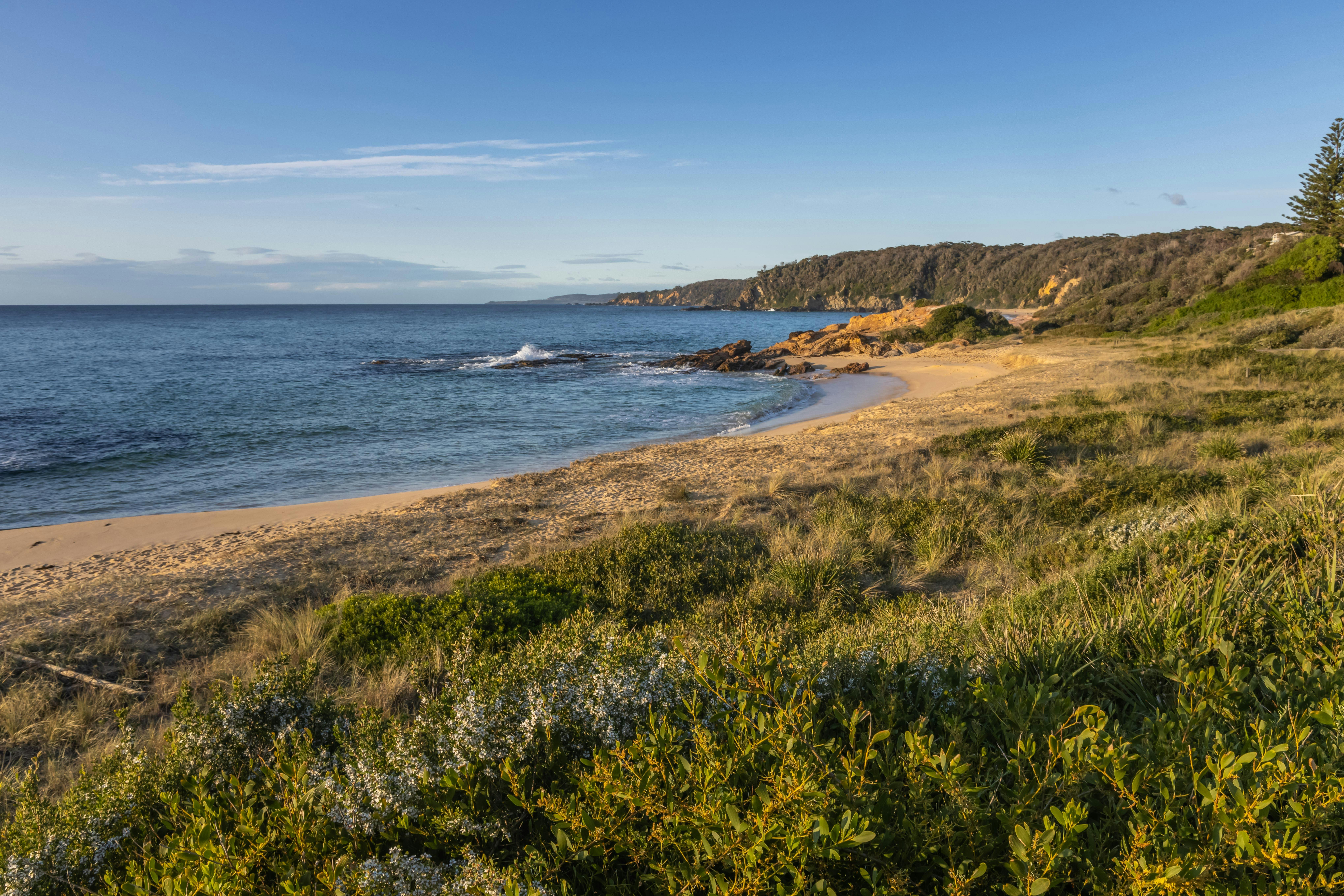 Beares Beach, Bermagui