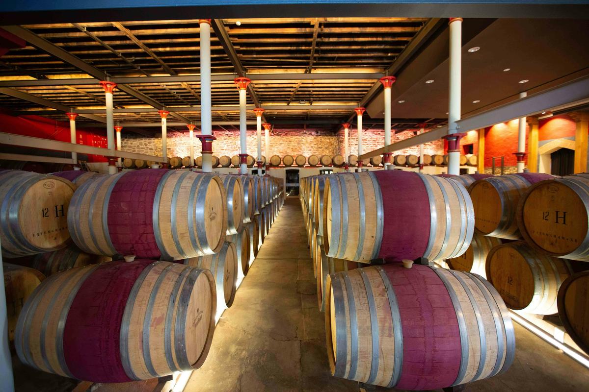 Cellar Door - Barrel Room