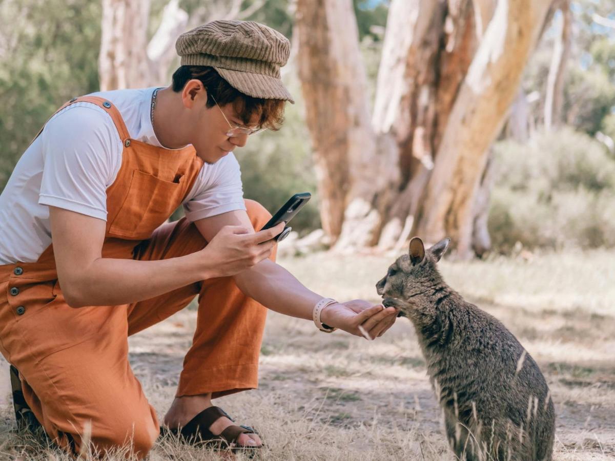 Visitor interacting with joey