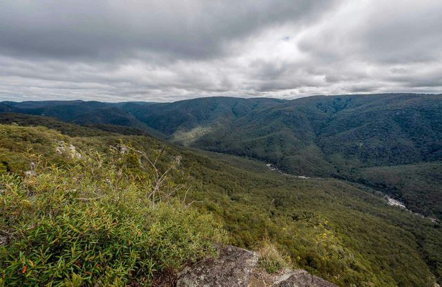 Tommys Rock Lookout and Walking Track