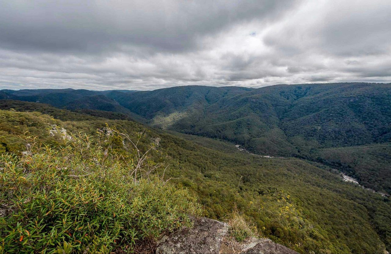 Tommys Rock lookout and walking track, Mann River Nature Reserve. Photo: John Spencer