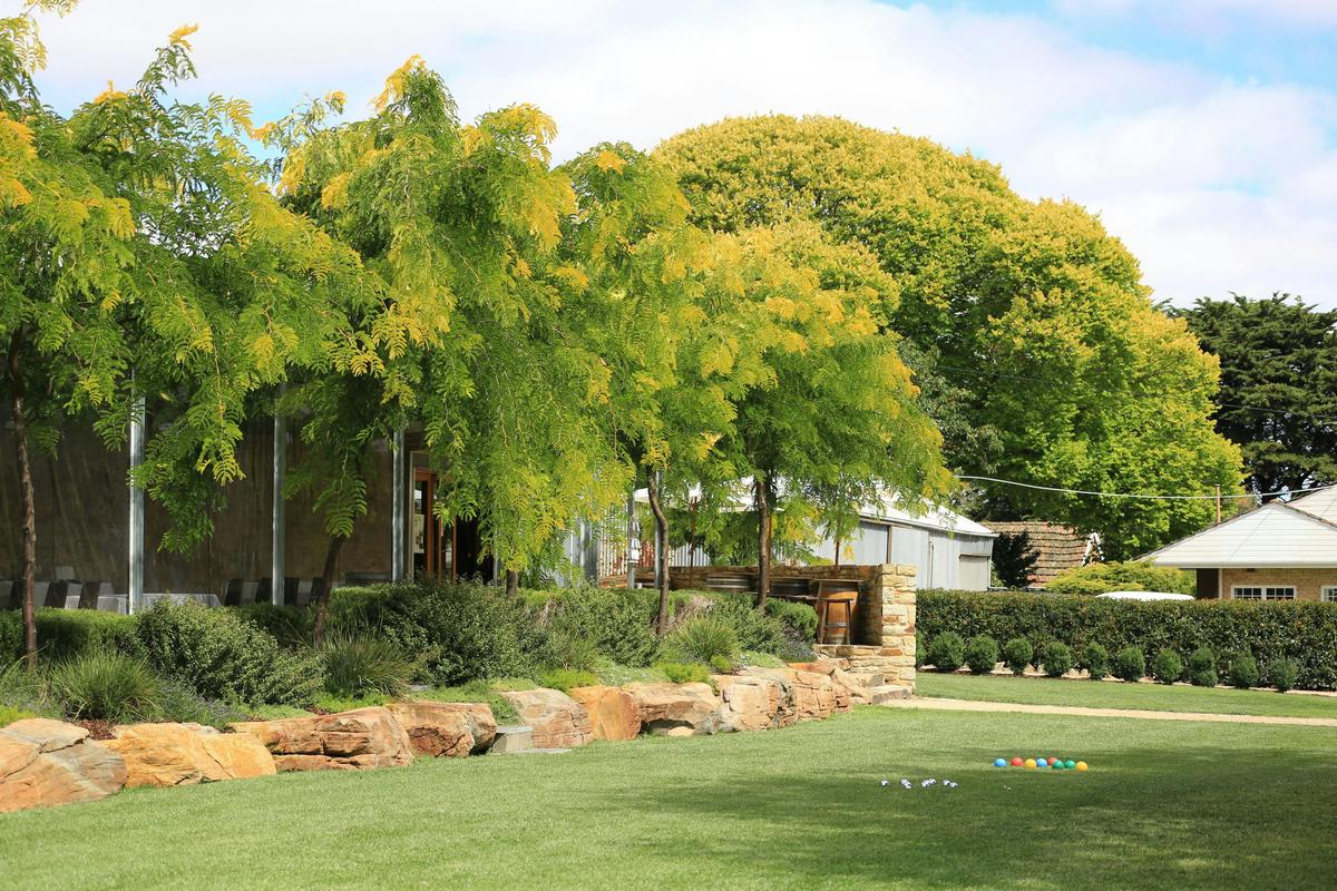 Howard Vineyard 